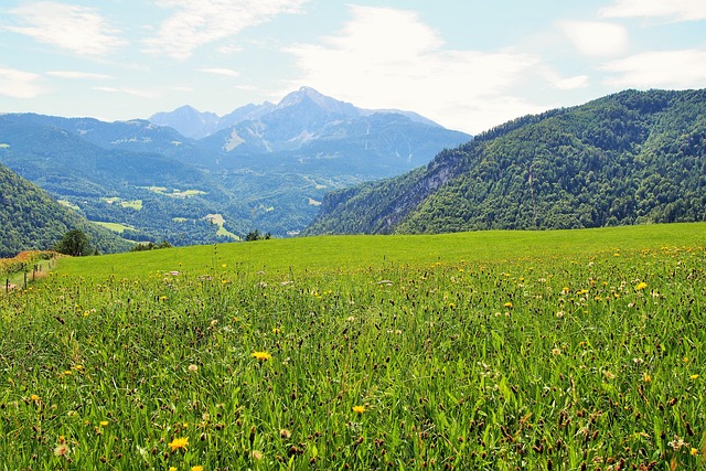 농촌 청년 정착 지원사업