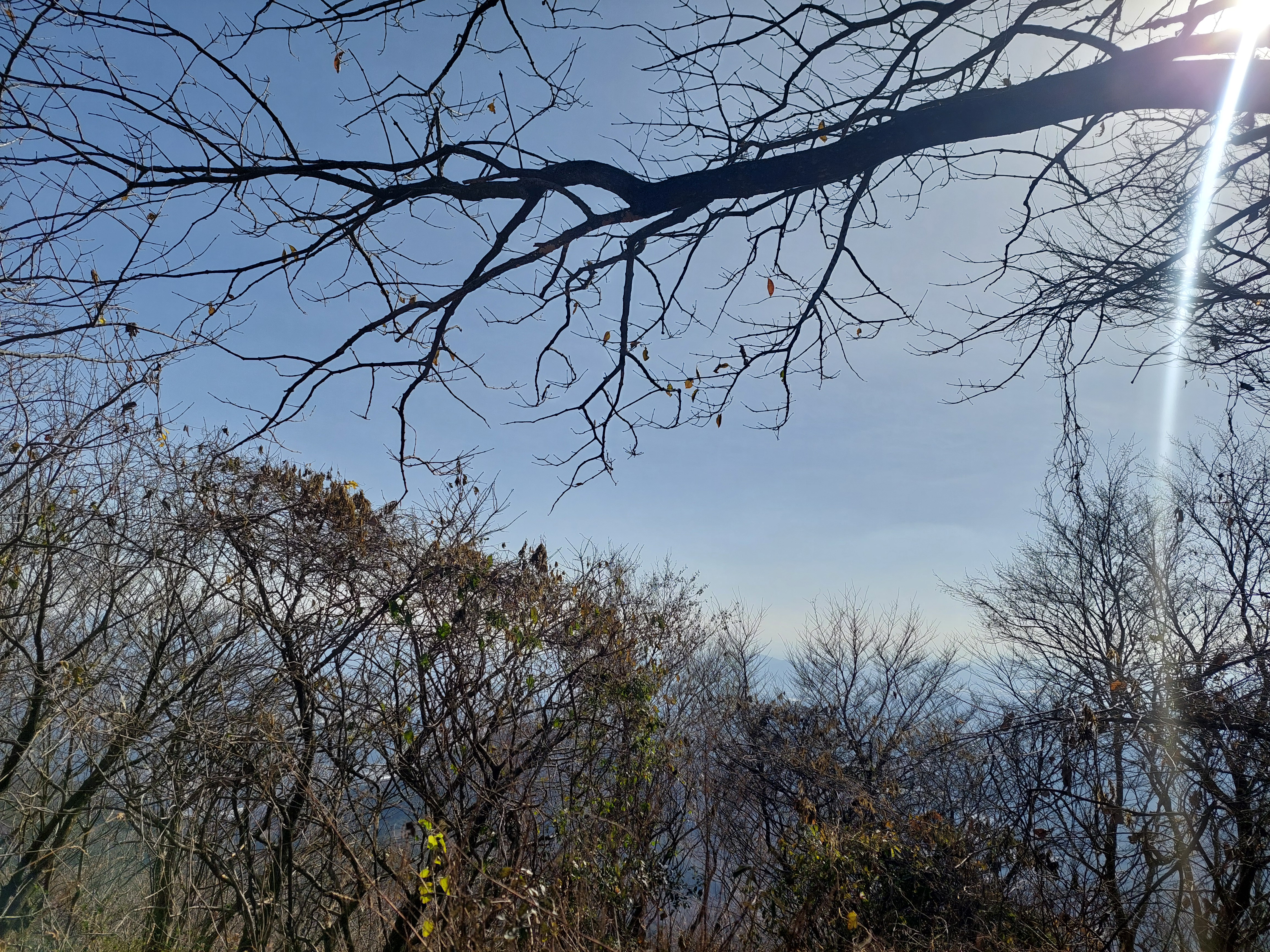 축령산