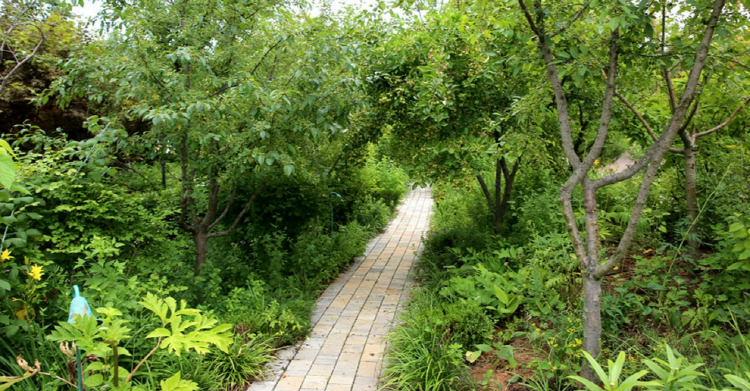 퍼스트가든 별빛축제