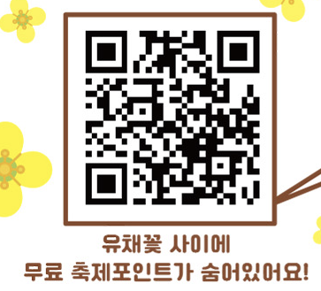 무료축제포인트