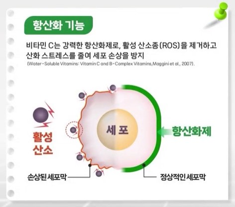 비타민C