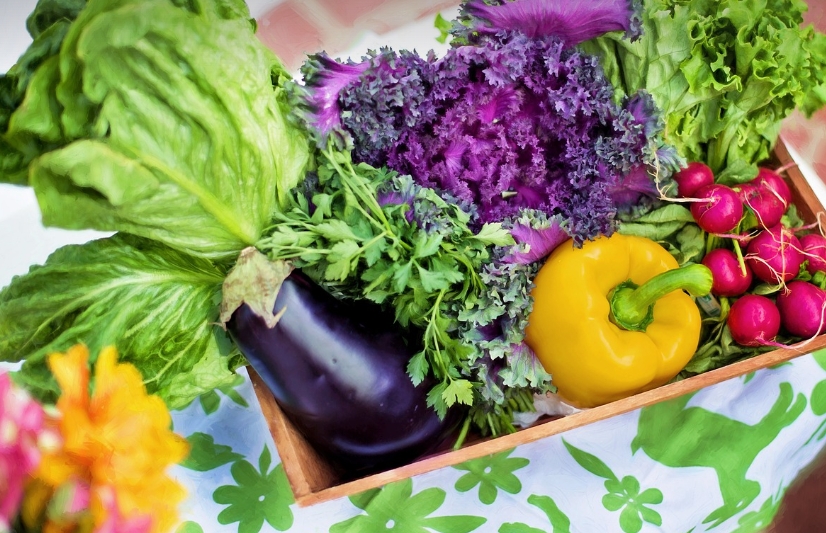 자연에서 얻은 식재료의 효능 면역력, 피부, 피로회복