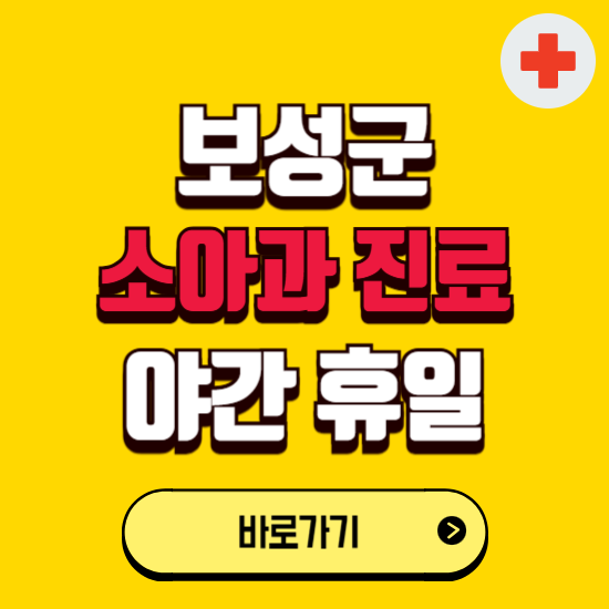 보성군 야간 소아과 진료병원 찾기 ❘ 24시 일요일 주말 연휴 응급진료 추천 잘하는 곳