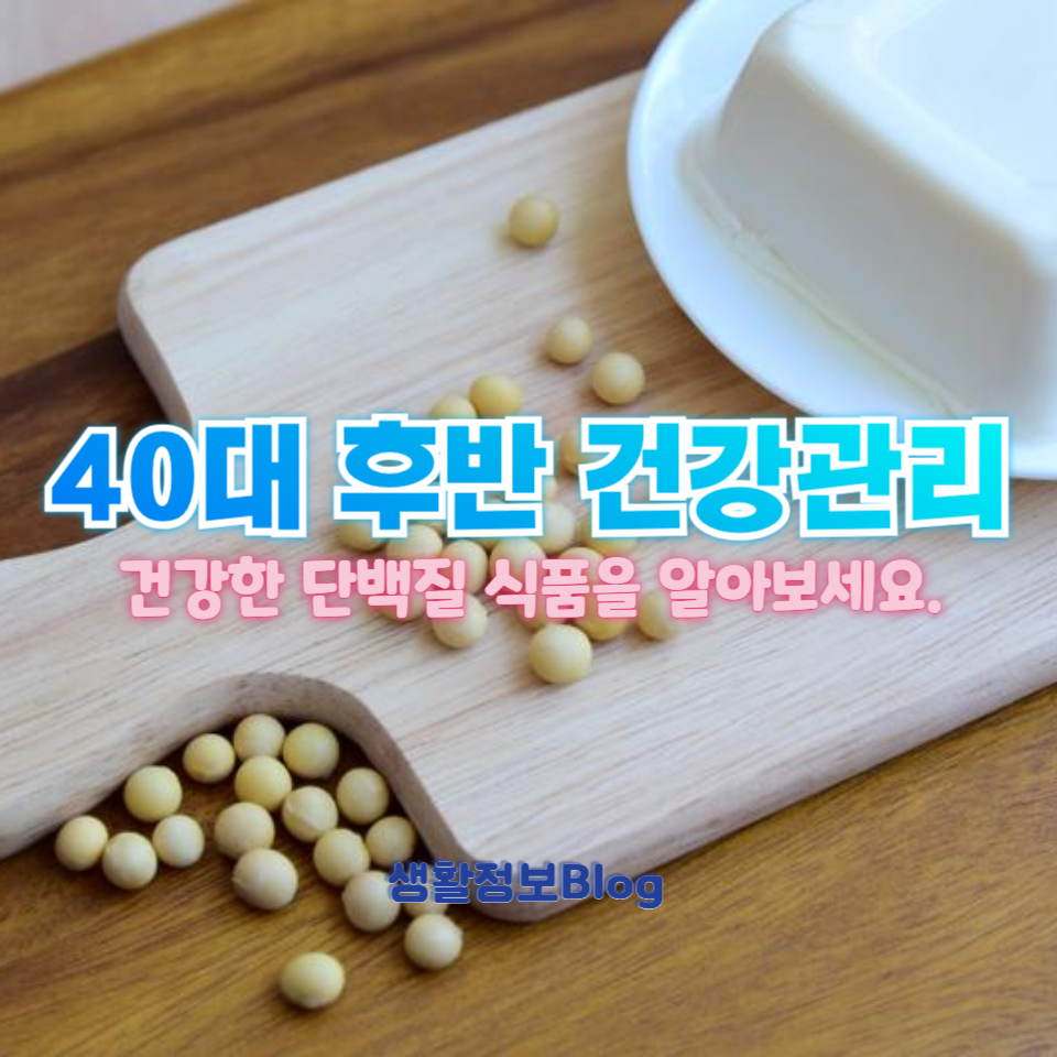 식물성 단백질 5가지