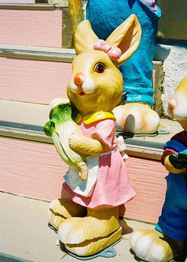 롯데월드 잠실 어드벤처 수험생 할인