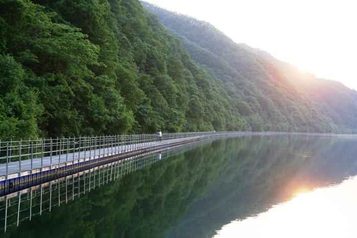 화천 숲으로다리