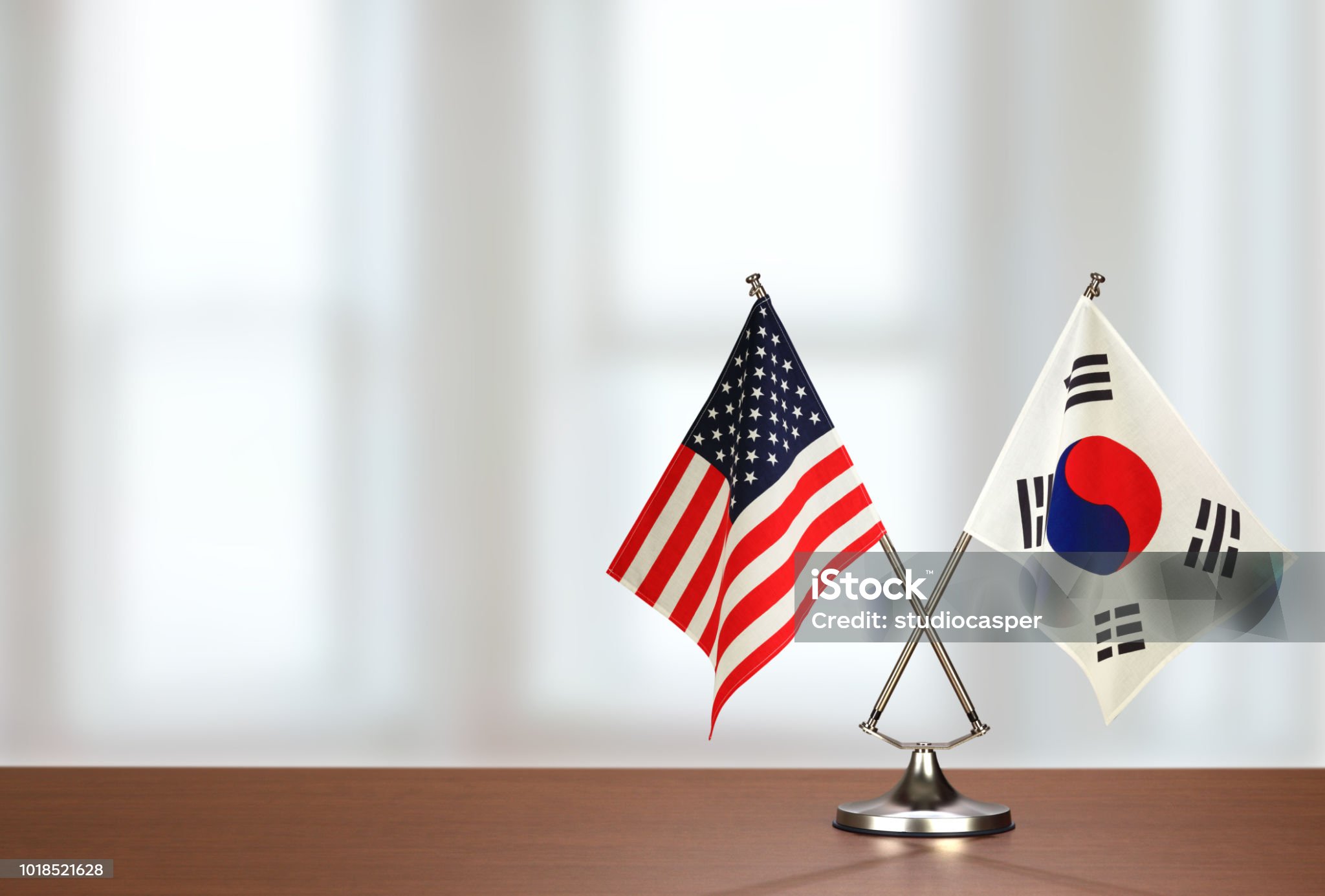 홍역 퇴치를 위한 각국 정부의 성공 사례와 실패 사례