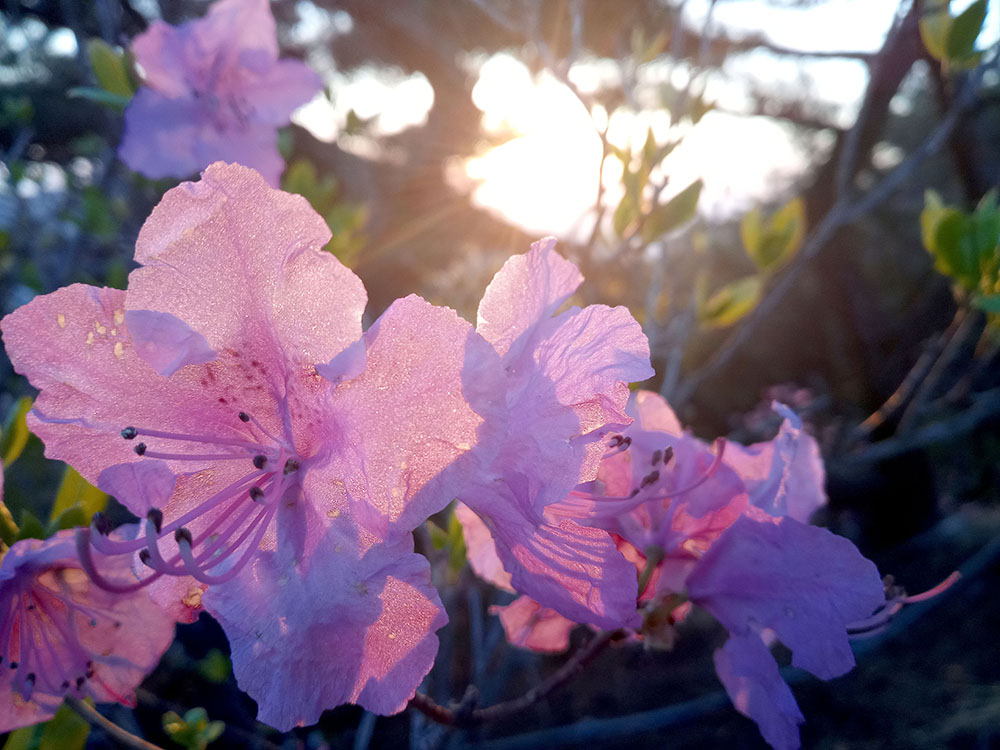 Emart24 4월 등산챌린지