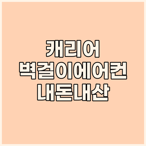 캐리어 벽걸이 에어컨 내돈내산 후기 ..