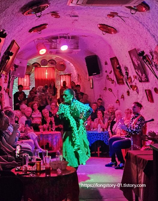 그라나다 플라멩고 후기