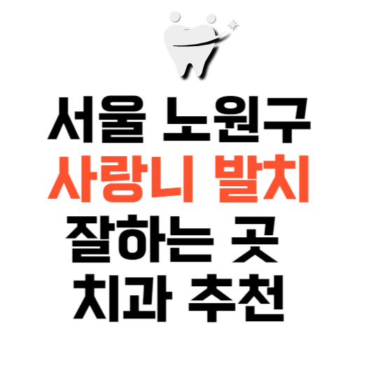 서울 노원구 사랑니 치과 발치 잘하는 곳 추천 매복 가격 비용.png