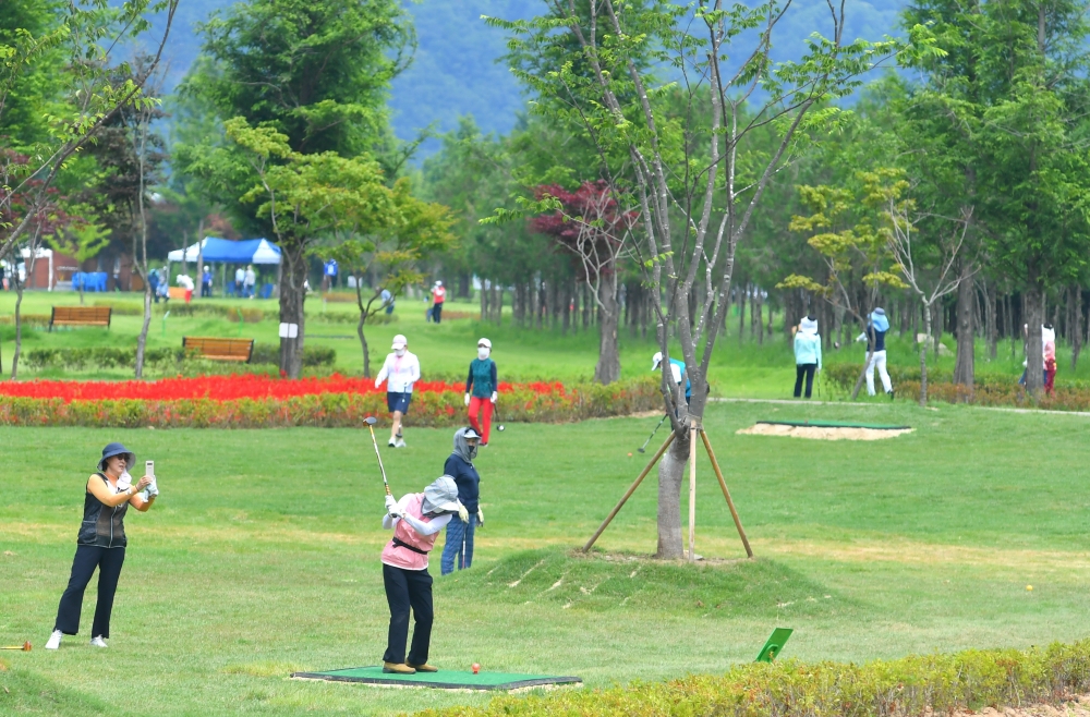 파크골프 vs 일반 골프: 시니어에게 더 적합한 선택은?