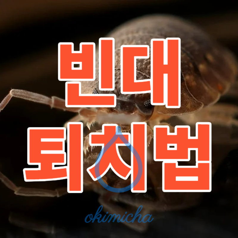 빈대_퇴치법