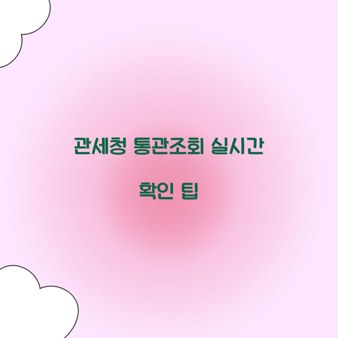 관세청 통관조회