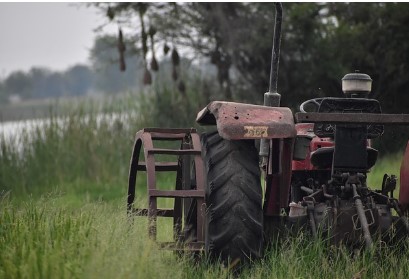 원주 벌초 대행