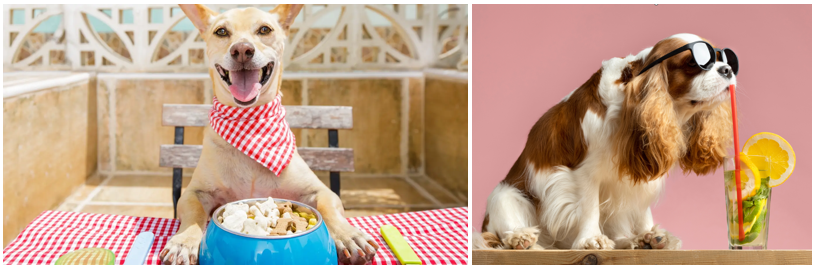 아이스 간식(좌), 수제 쿨링 푸드(우) 이미지