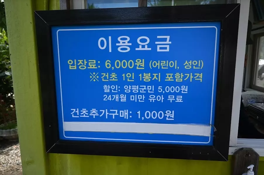 양평 아이들하고 가볼만한 양평양떼목장 사진 2