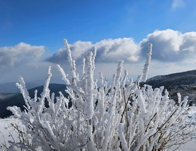덕유산