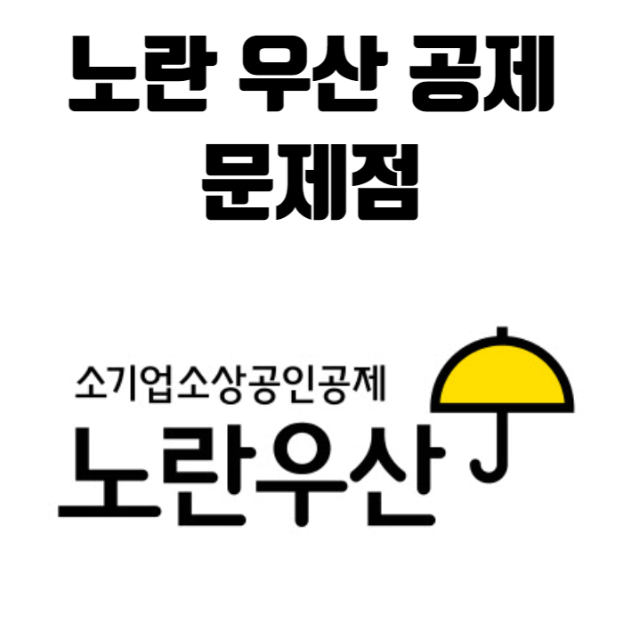 노란 우산 공제 문제점