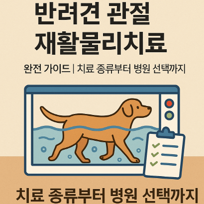 반려견 관절 재활물리치료 가이드 : 재활치료 종류부터 병원 선택까지!