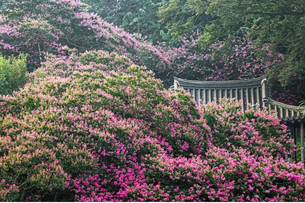 세작 매혹된 자들 촬영지