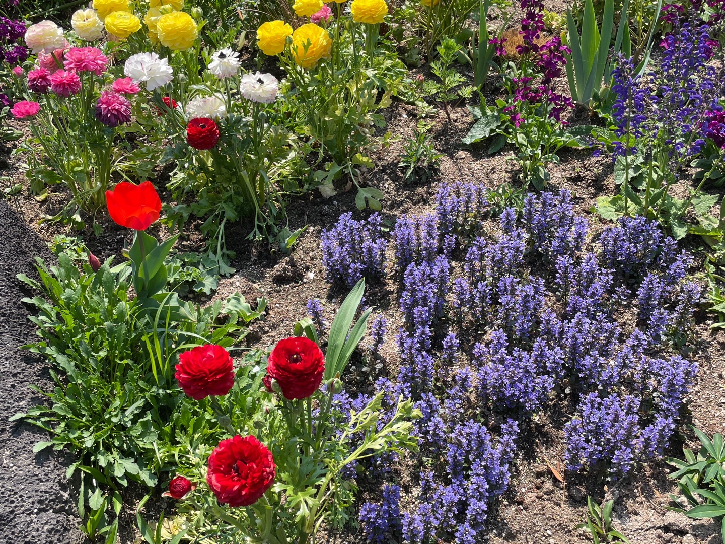 파주벽초지수목원