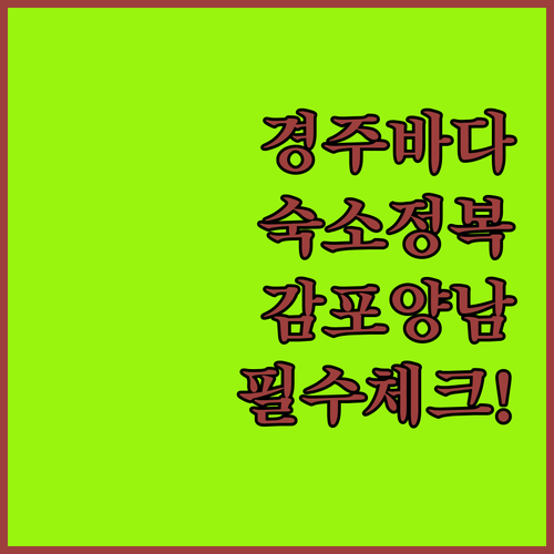 경주 바다 여행객을 위한 감포 양남 ..