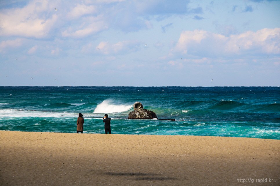 강릉 카페 거리