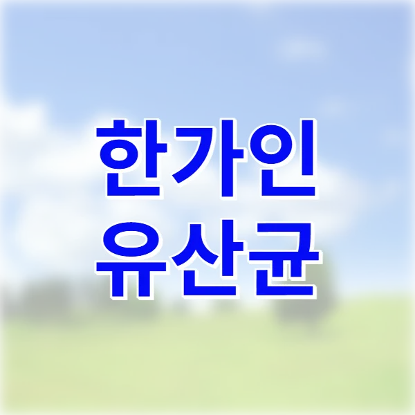 한가인유산균