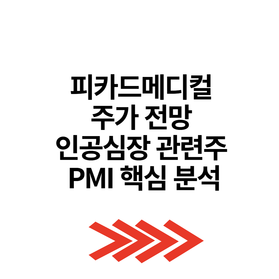 피카드메디컬 주가 전망 인공심장 관련주 PMI 핵심 분석