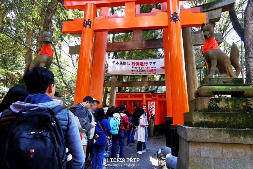 게이한 패스 가격 노선 정리 오사카 교토 교통패스 추천 여행 코스