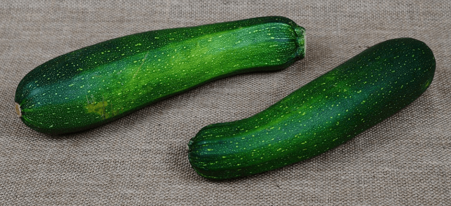 애호박 사진 - 9