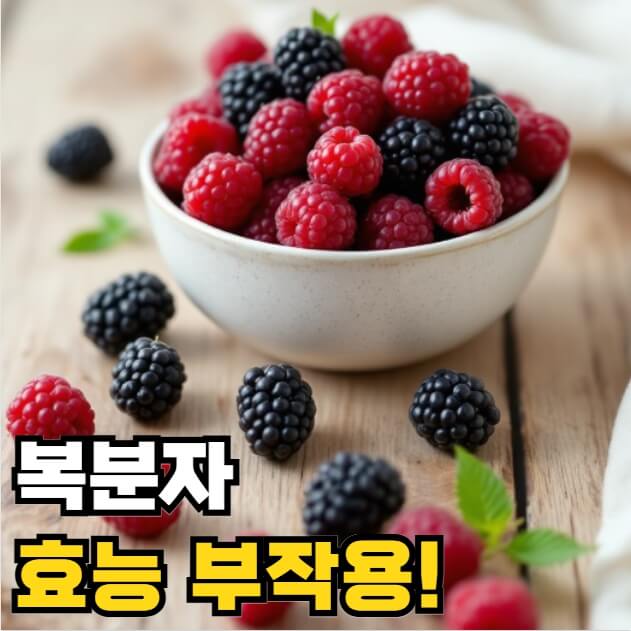 복분자 효능 부작용