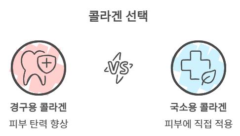 콜라겐 선택