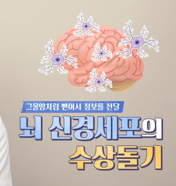 포스파티딜세린 효능