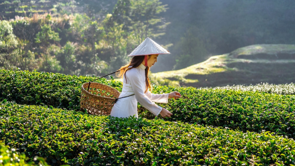 베트남 베트남 물가와 인건비