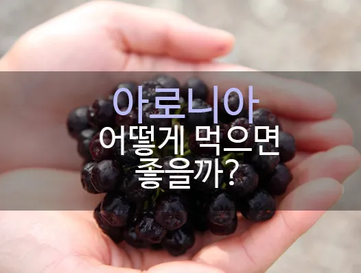 아로니아 먹는 가장 좋은 방법과 생 냉동 분말 활용 팁_8