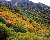 단풍여행 1박2일 버스 단풍구경