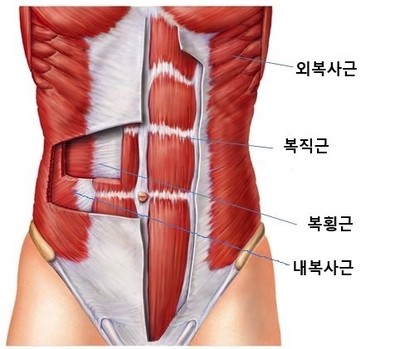 복근