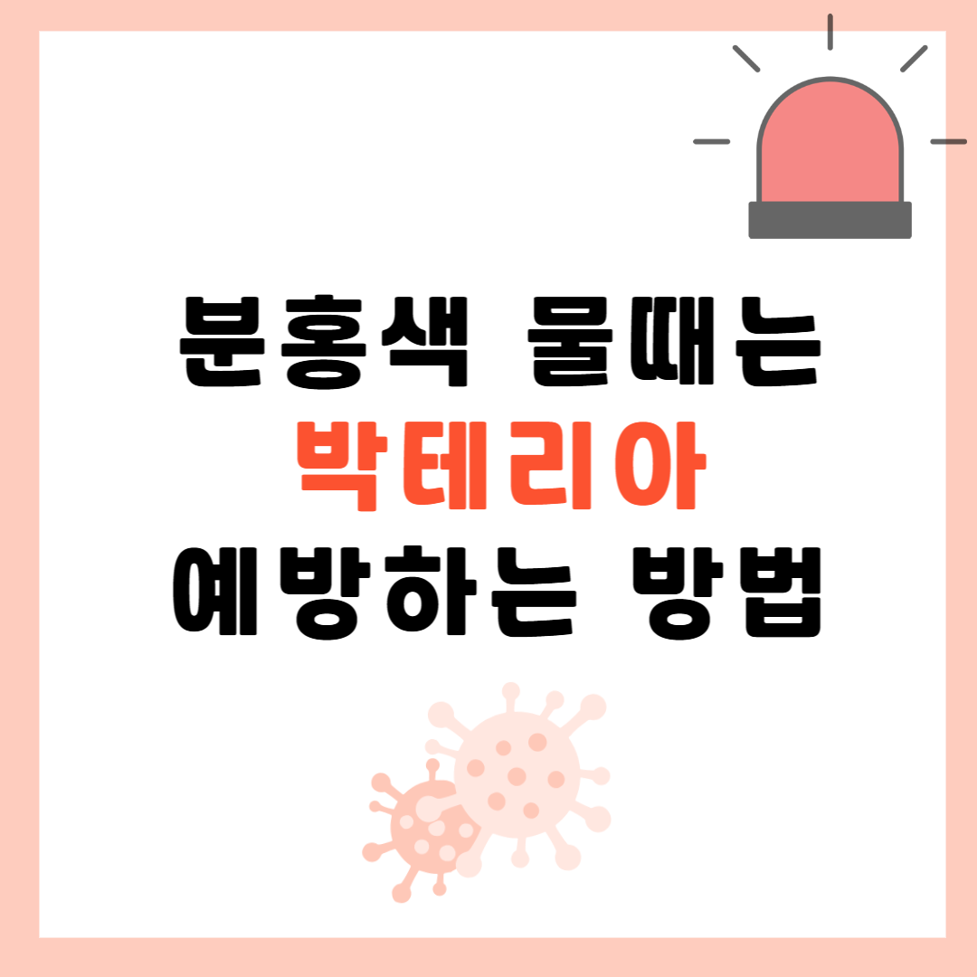 화장실 분홍색 물때 '세라티아 마르세센스’ 박테리아