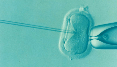 냉동난자 사용 보조생식술 지원금