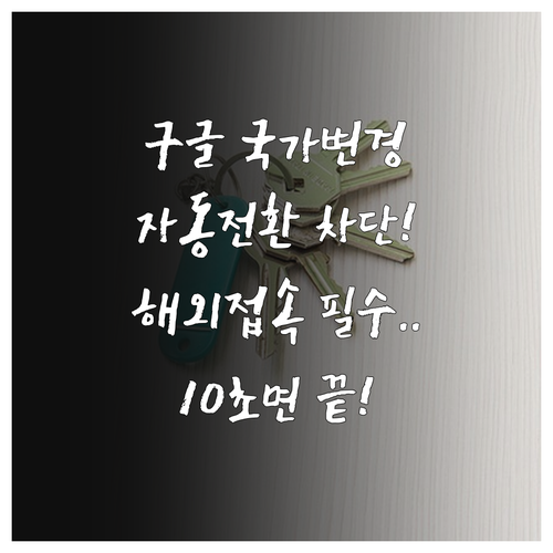 미국 영국 일본 구글 국가별 자동 전..