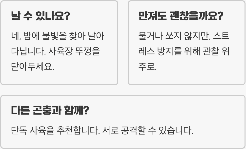 땅강아지 키우기 A to Z (사육장, 먹이, 흙)