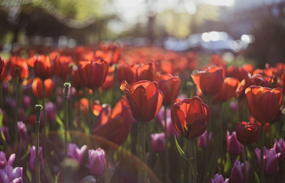 HPV 음성인데도 걱정된다면? 비HPV 관련 여성 질환의 원인과 정밀 관리 가이드