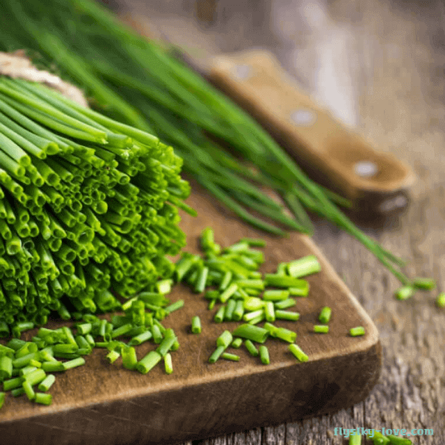 다양한 영양소가 풍부한 차이브