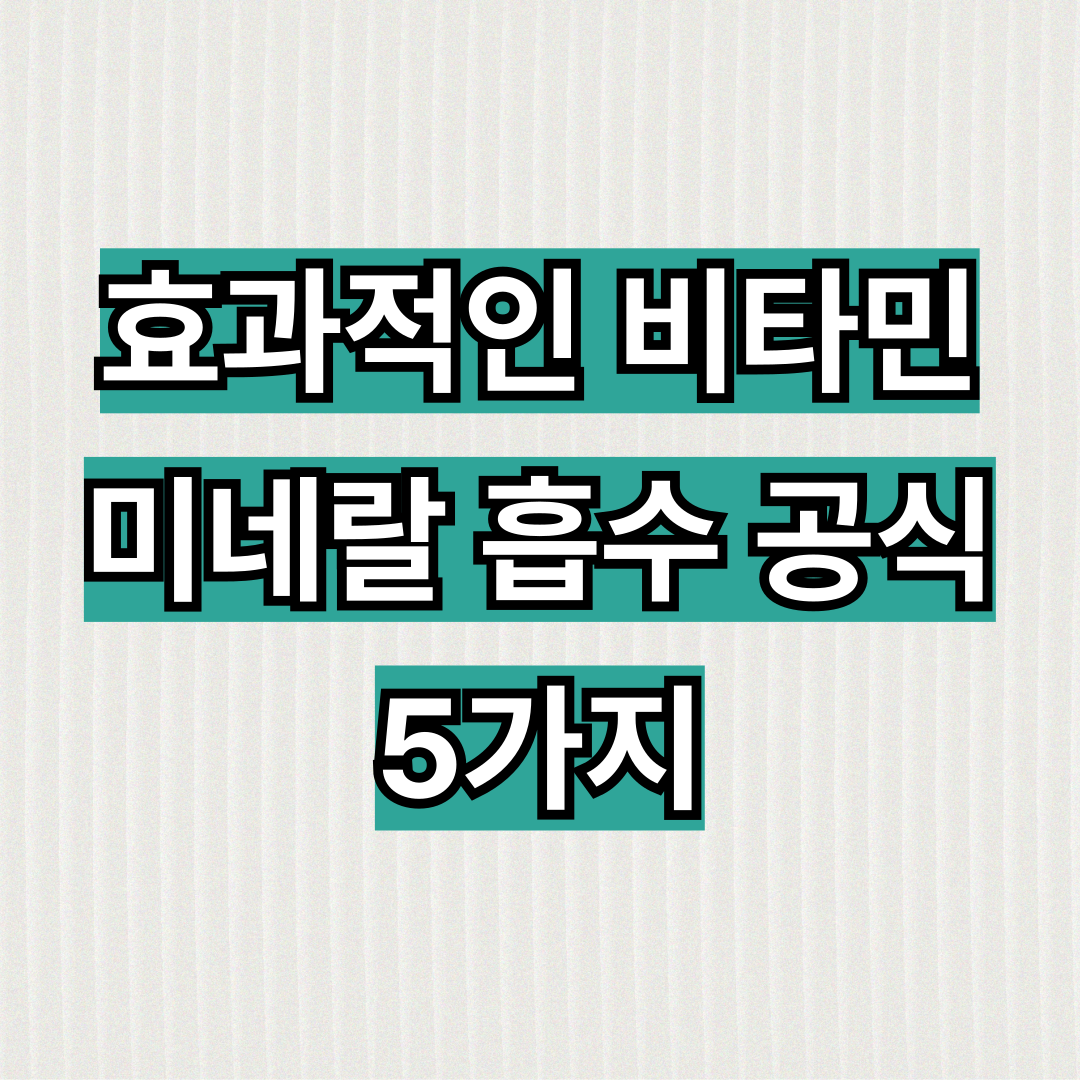 효과적인 비타민·미네랄 흡수 공식 5가지