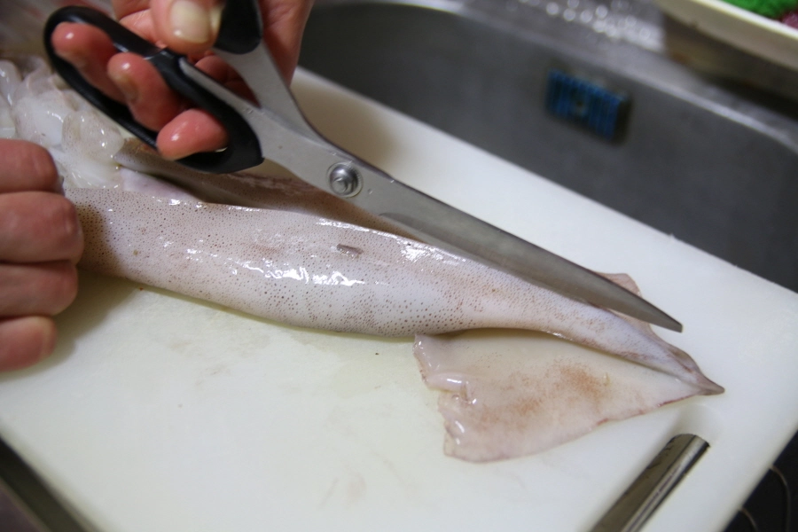오징어 손질하는 모습