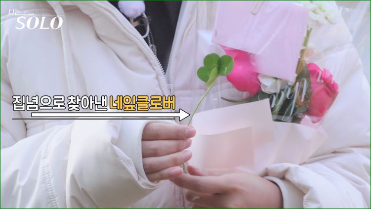 클로버