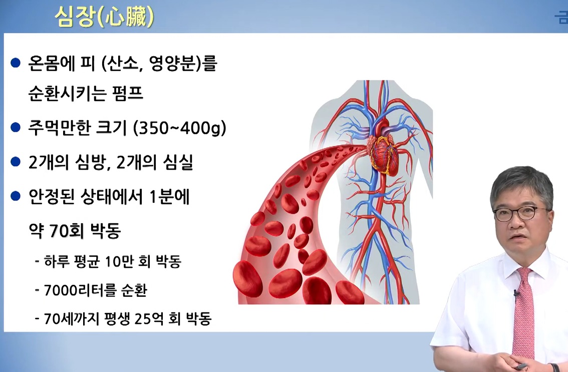 EBS명의-안영근-교수