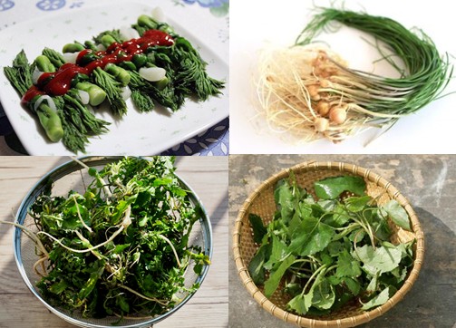 3월 제철음식 - 봄나물 효능과 보관법(달래, 냉이, 두릅, 쑥, 봄동, 취나물, 미나리)